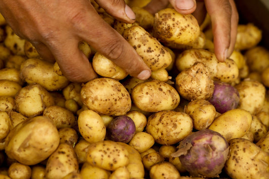 Skye's Dauphinoise Potatoes