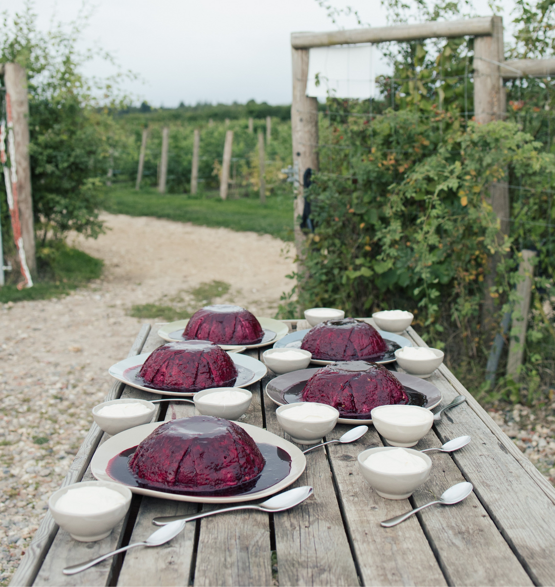 Skye's Summer Pudding