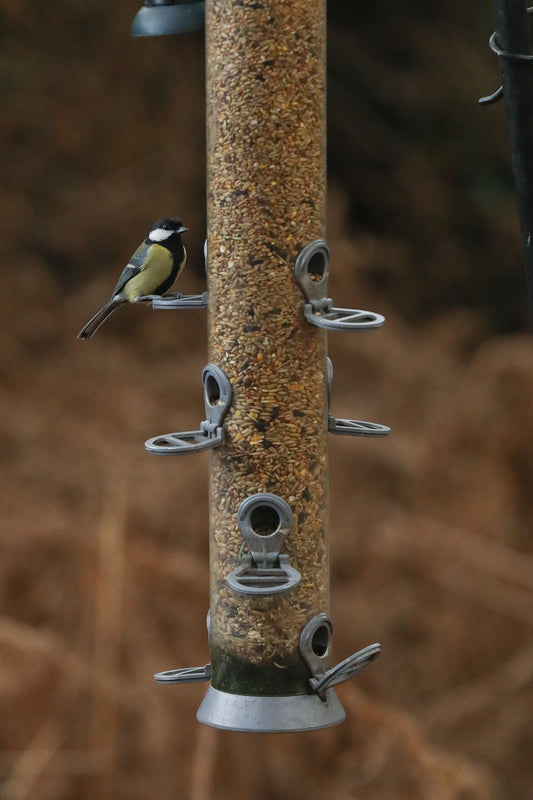 Caring for Birds and Other Wildlife in Winter - 15th November