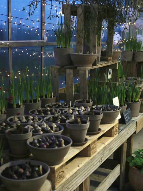 Christmas Produce Sale - Saturday 6th December