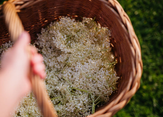 Skye’s Elderflower Cordial