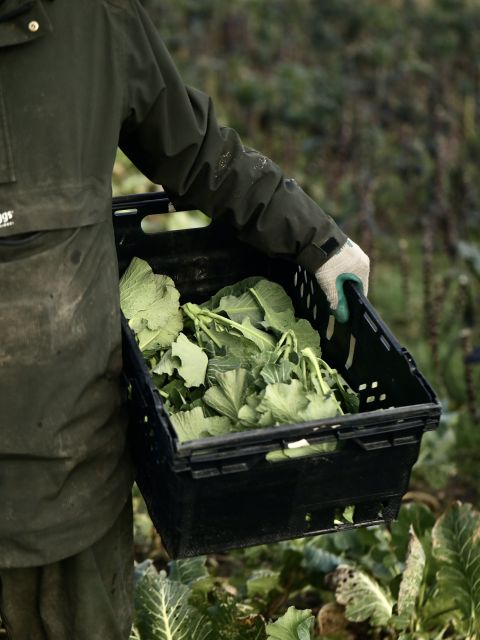 Produce Sale - Saturday 21st February 2026