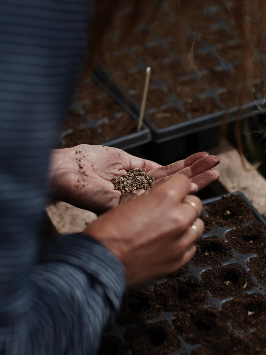 Spring Seed Sowing Workshop - Saturday 21st March 2026