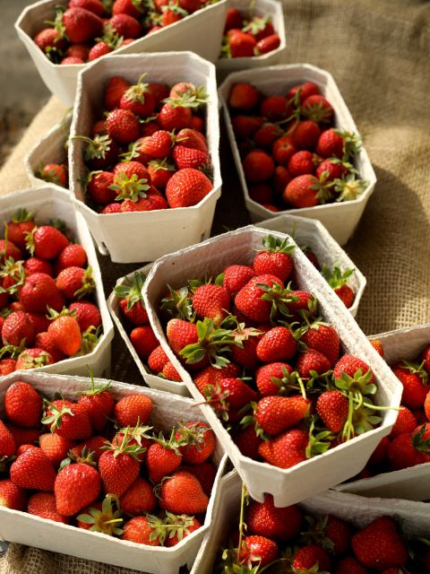 Produce Sale - Saturday 20th June 2026