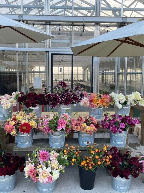Flower Arranging Workshop - Saturday 18th July 2026