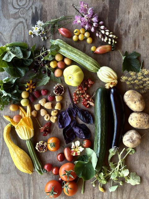 Produce Sale featuring Candover Brook - Saturday 4th July 2026