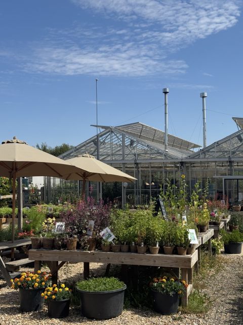 Bank Holiday Weekend Plant Sales - Saturday 29th to Monday 31st August 2026