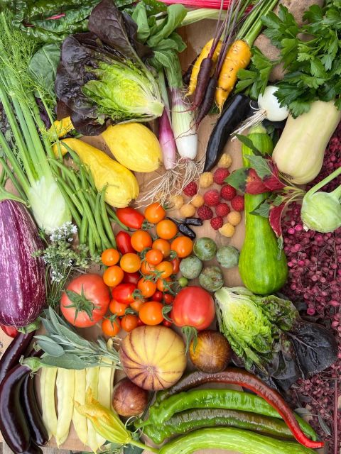 Produce Sale - Saturday 5th September 2026