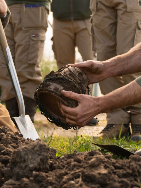 Introduction to Biodynamics - Saturday 3rd October 2026